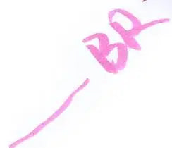 SAKURA PIGMA Colored Brush Pens