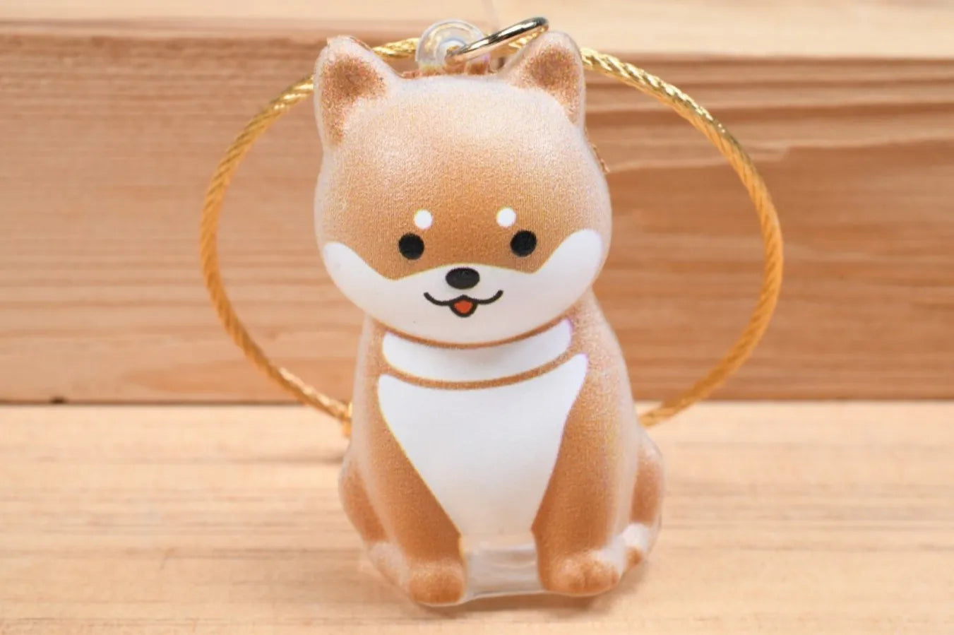 BEAM Time Capsule Dog