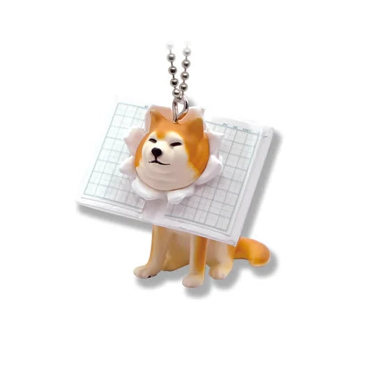 Qualia Stuck Shiba Inu Part 3