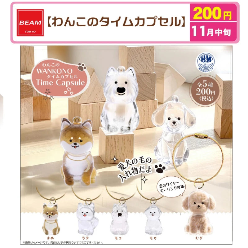 BEAM Time Capsule Dog