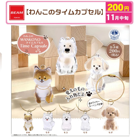 BEAM Time Capsule Dog