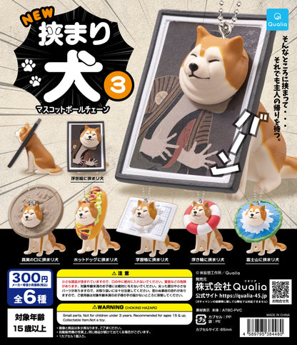 Qualia Stuck Shiba Inu Part 3
