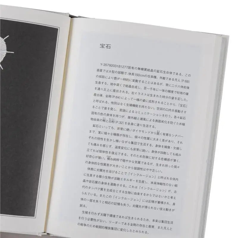 Illustrated Gem Country Haruko Ichikawa Kodansha 9784065216484 Book