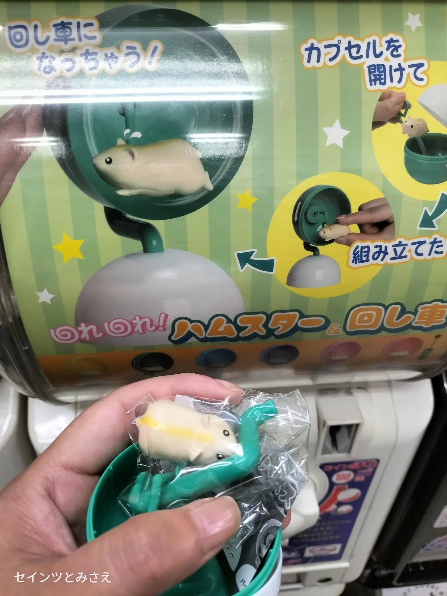 KORO KORO Spinning Hamster Wheel