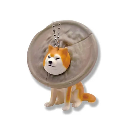 Qualia Stuck Shiba Inu Part 3