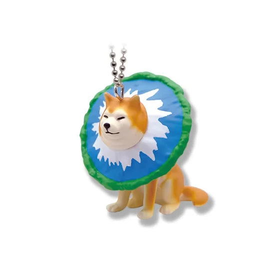 Qualia Stuck Shiba Inu Part 3