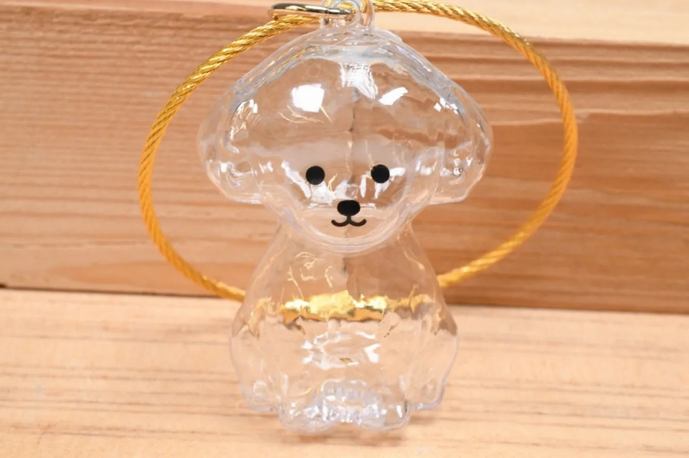 BEAM Time Capsule Dog